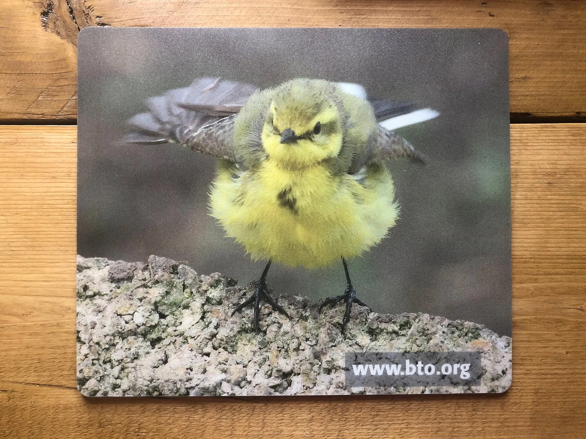 BTO Mouse mat - Yellow Wagtail